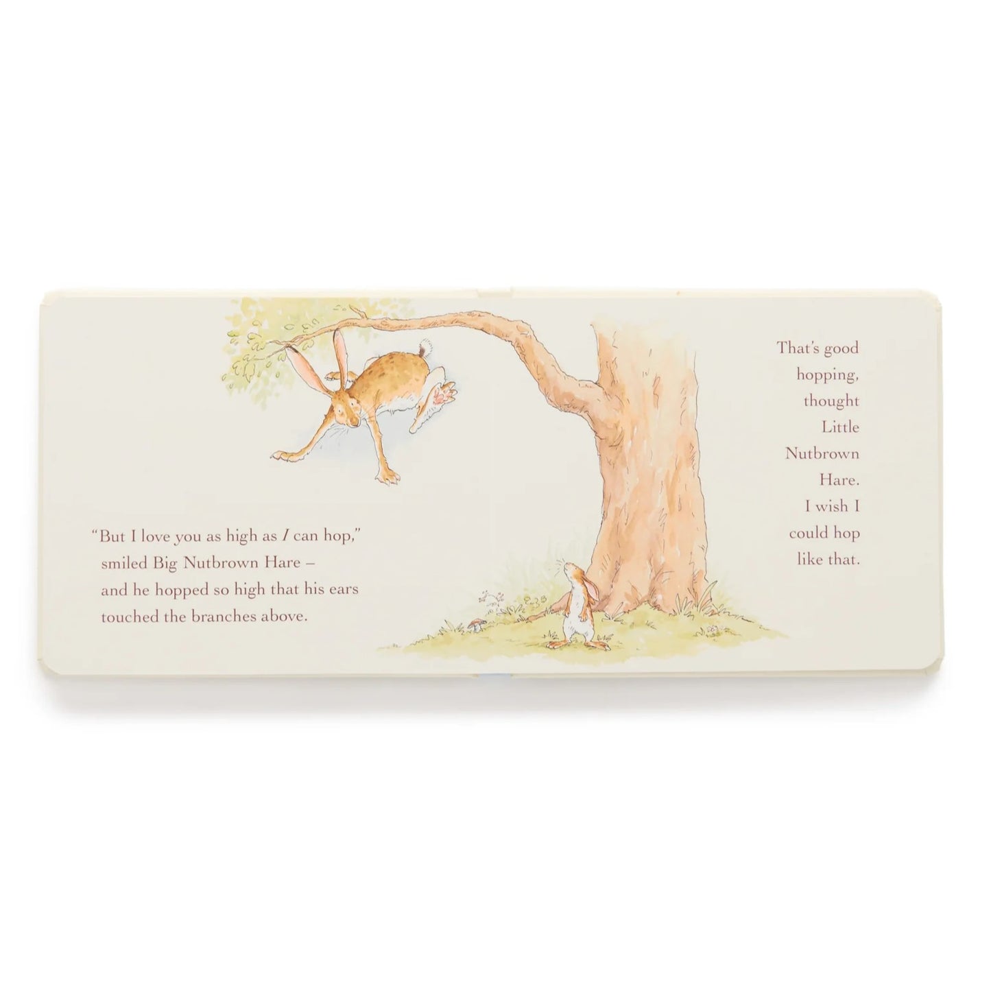 Book - Guess How Much I Love You