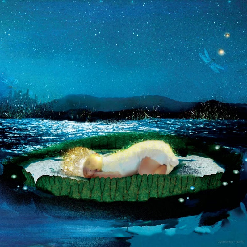 Book - The Crown on Your Head - Nancy Tillman