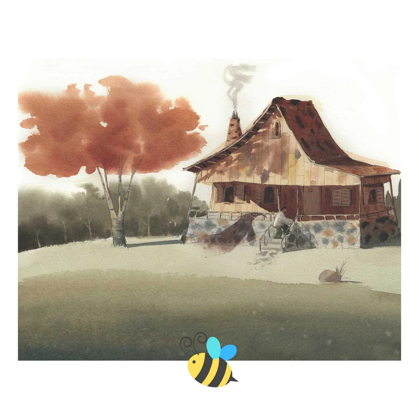 Book - My Daddy's Shadow - Soft Cover