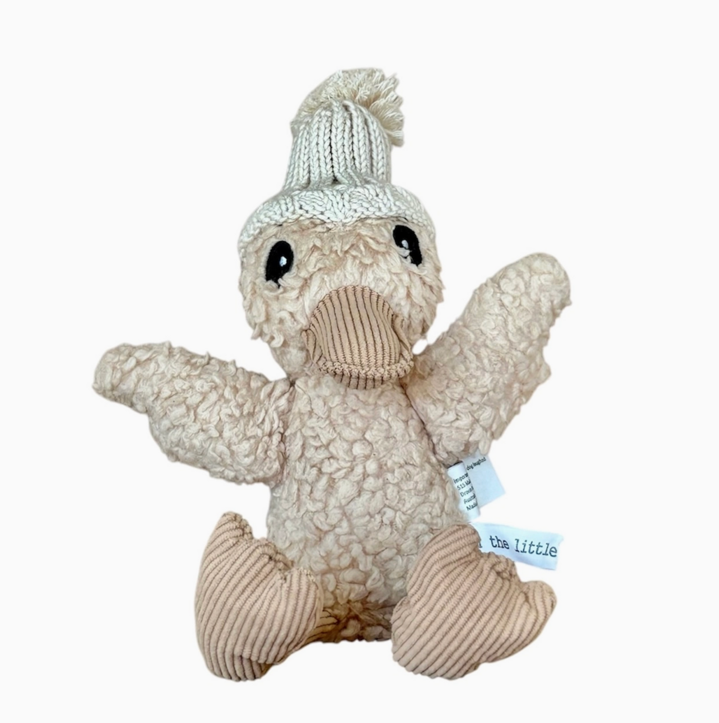 Edmond Duck