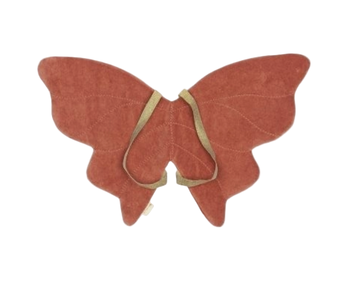 Dress Up Butterfly Wings - Ash Rose