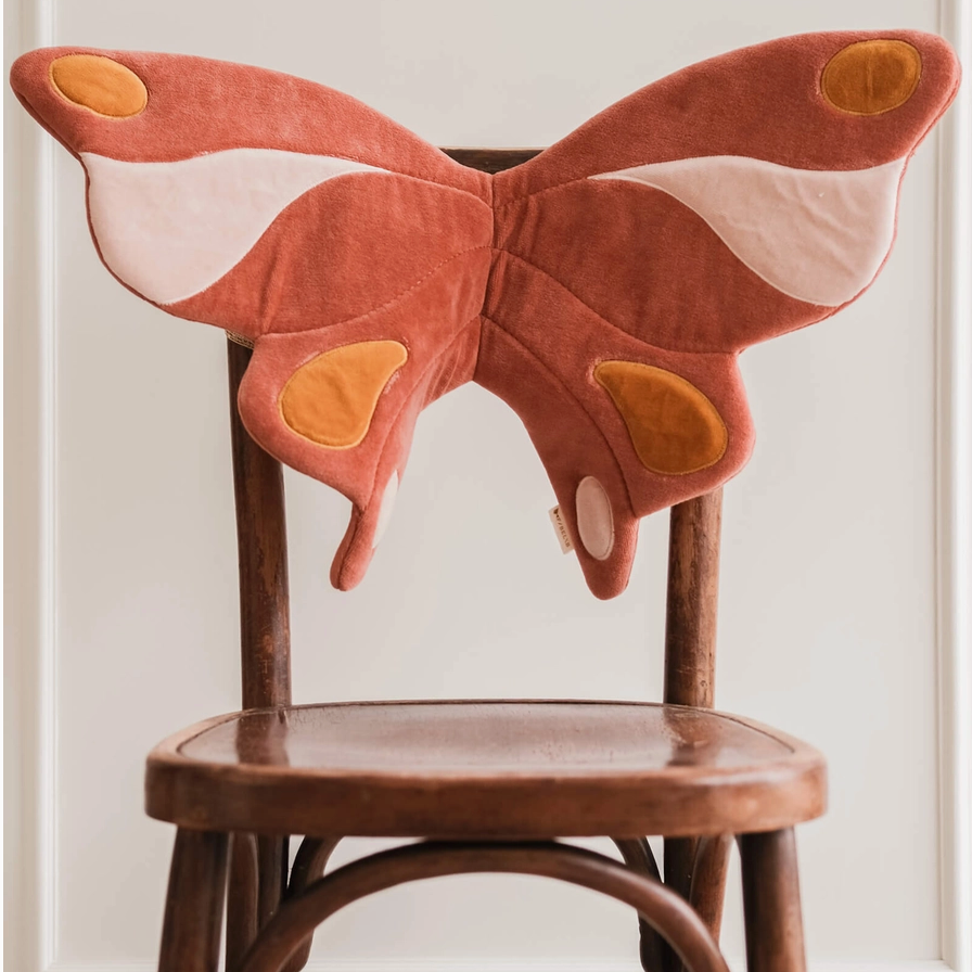 Dress Up Butterfly Wings - Ash Rose