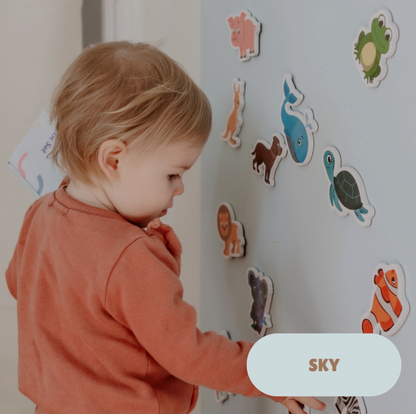 MagPlay Magnetic Wall Decal