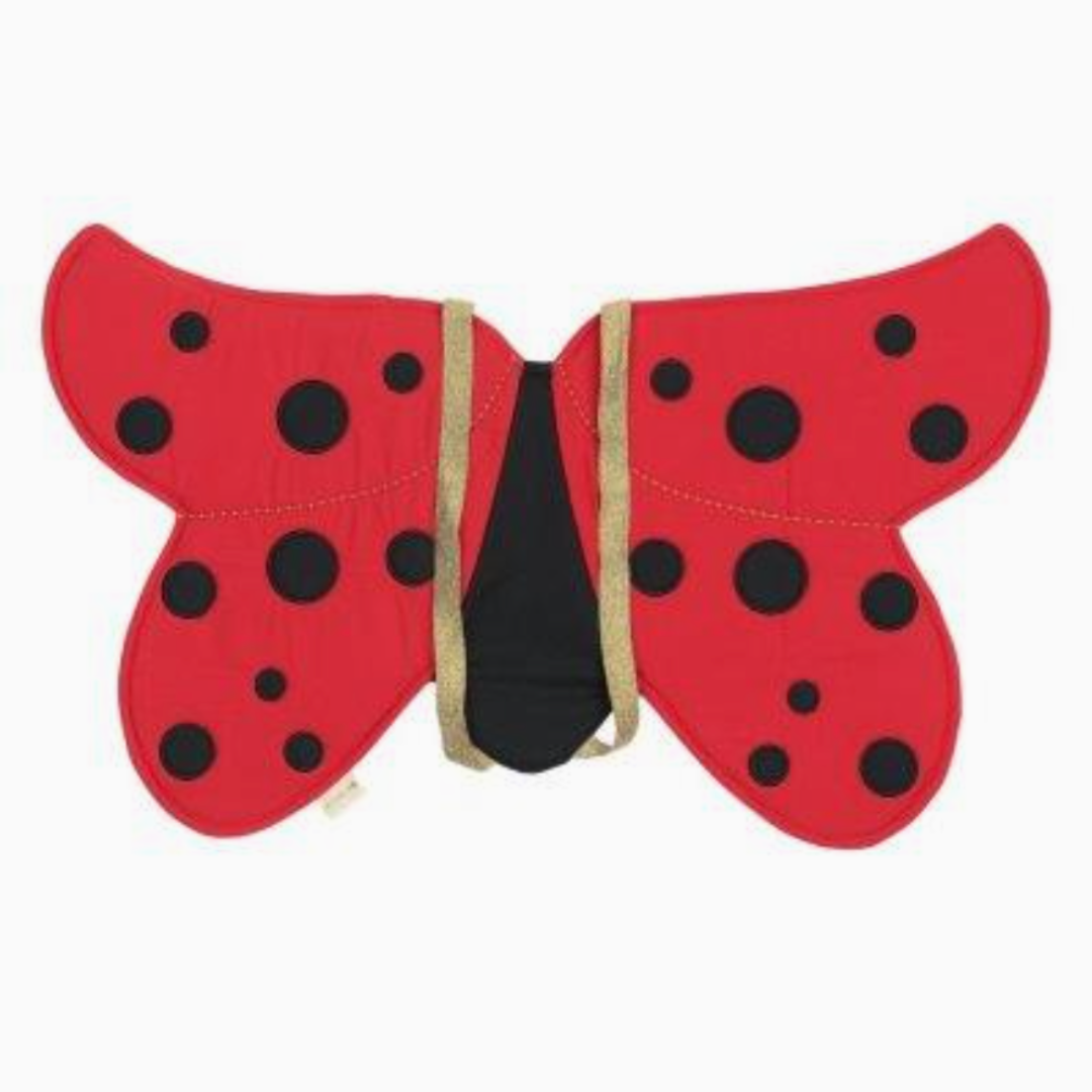 Dress Up Wings - Ladybug
