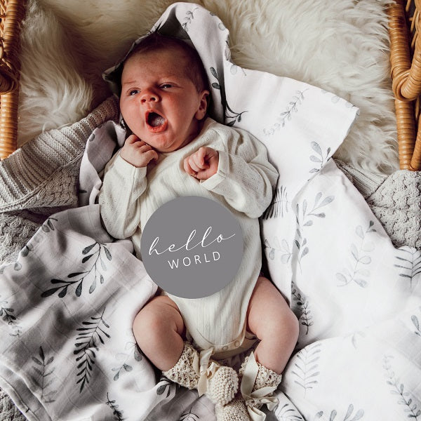 Milestone Cards - Wild Fern & Grey