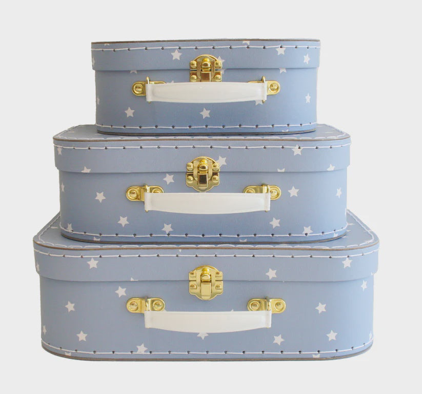 Blue Stars Carry Case